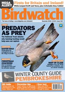 Birdwatch UK – December 2018