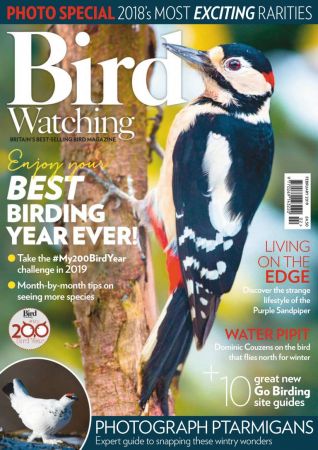 Bird Watching UK – February 2019