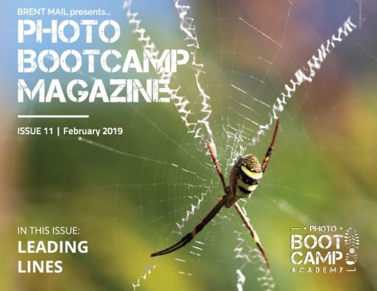 Photo BootCamp Magazine – February 2019