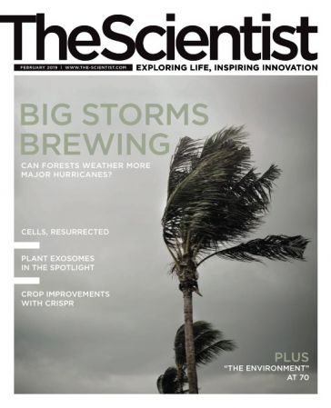 The Scientist – February 2019