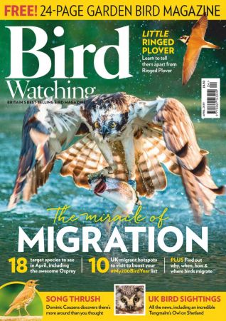 Bird Watching UK – April 2019