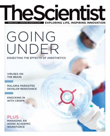 The Scientist – March 2019