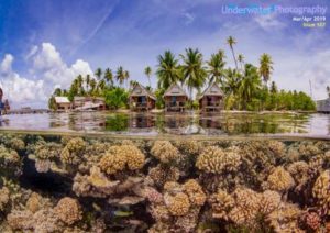 Underwater Photography – March/April 2019