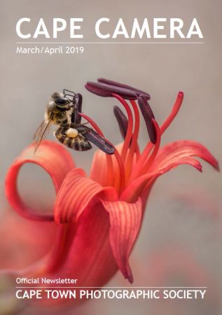 Cape Camera – March-April 2019