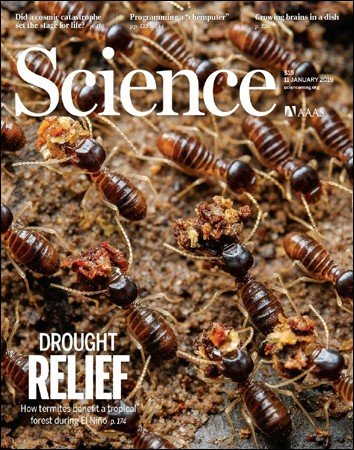 Science – 11 January 2019