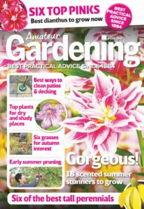 Amateur Gardening – 8 June 2019
