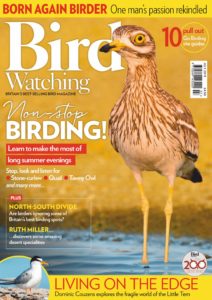 Bird Watching UK – July 2019