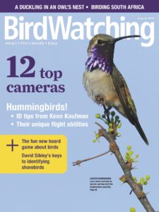 BirdWatching USA – July-August 2019