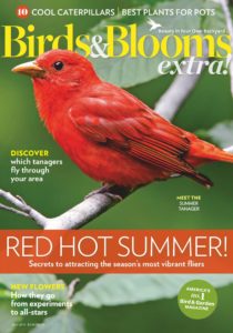 Birds and Blooms Extra – July 01, 2019