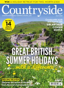 Countryside – July 2019