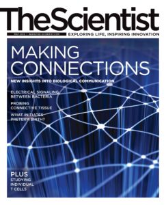 The Scientist – May 2013