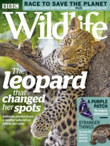 BBC Wildlife – July 2019