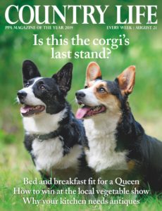 Country Life UK – August 21, 2019
