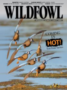 Wildfowl – September 2019