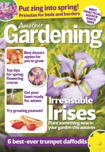 Amateur Gardening – 14 September 2019