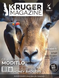 Kruger Magazine – Spring 2019