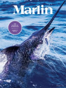 Marlin – October 2019