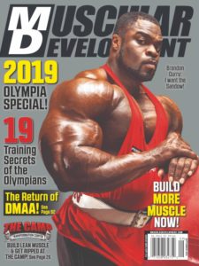 Muscular Development – September 2019
