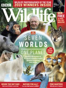 BBC Wildlife – November 2019