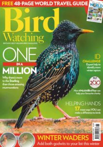 Bird Watching UK – November 2019