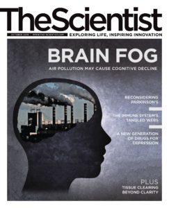The Scientist – October 2019