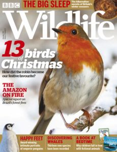 BBC Wildlife – December 2019