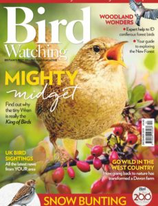Bird Watching UK – December 2019