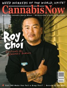 Cannabis Now – Issue 38 – August-September 2019