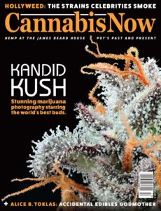 Cannabis Now – Issue 39 – October-November 2019