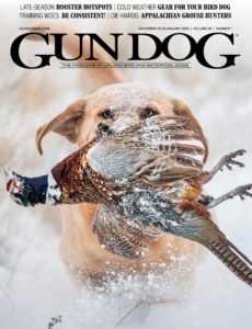 Gun Dog – December 2019 – January 2020