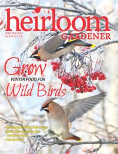 Heirloom Gardener – Winter 2019