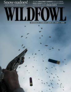 Wildfowl – December 2019 – January 2020