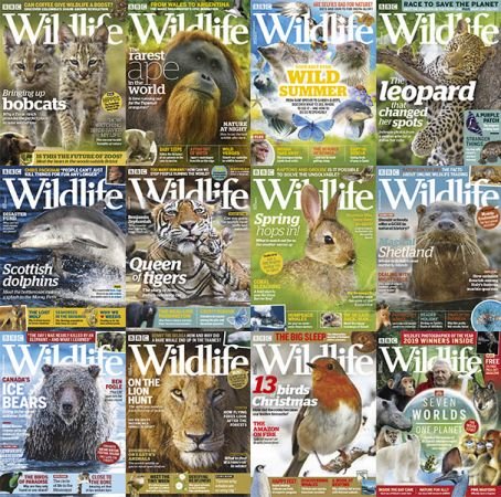 BBC Wildlife – 2019 Full Year Issues Collection