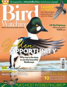 Bird Watching UK – January 2020