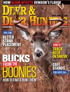 Deer & Deer Hunting – February 2020