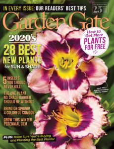 Garden Gate – January 2020