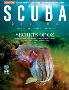 Scuba Diving – January 2020