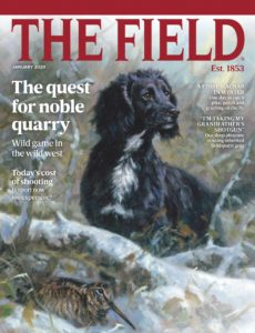 The Field – January 2020