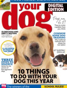 Your Dog – January 2020