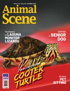 Animal Scene – October 2019