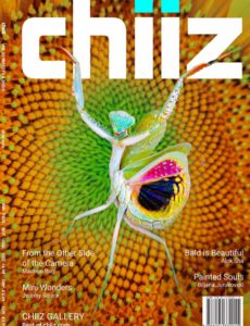 Chiiz – Volume 32 – November 2019