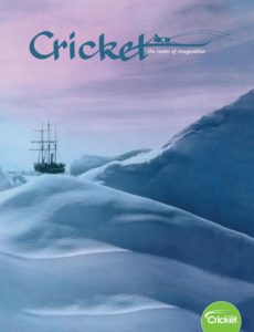 Cricket – January 2020