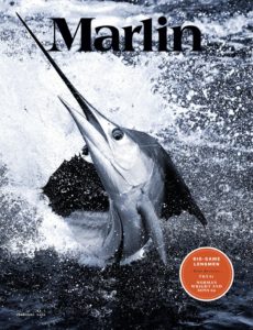 Marlin – February 2020