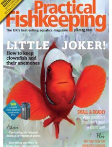 Practical Fishkeeping – March 2020