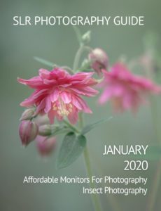 SLR Photography Guide – January 2020