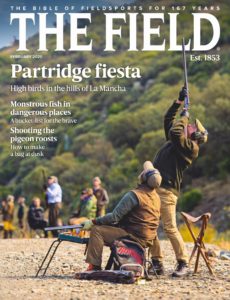 The Field – February 2020