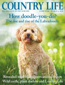 Country Life UK – March 04, 2020