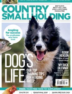 Country Smallholding – February 2020