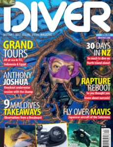 Diver UK – April 2020