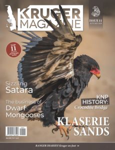 Kruger Magazine – Autumun 2020